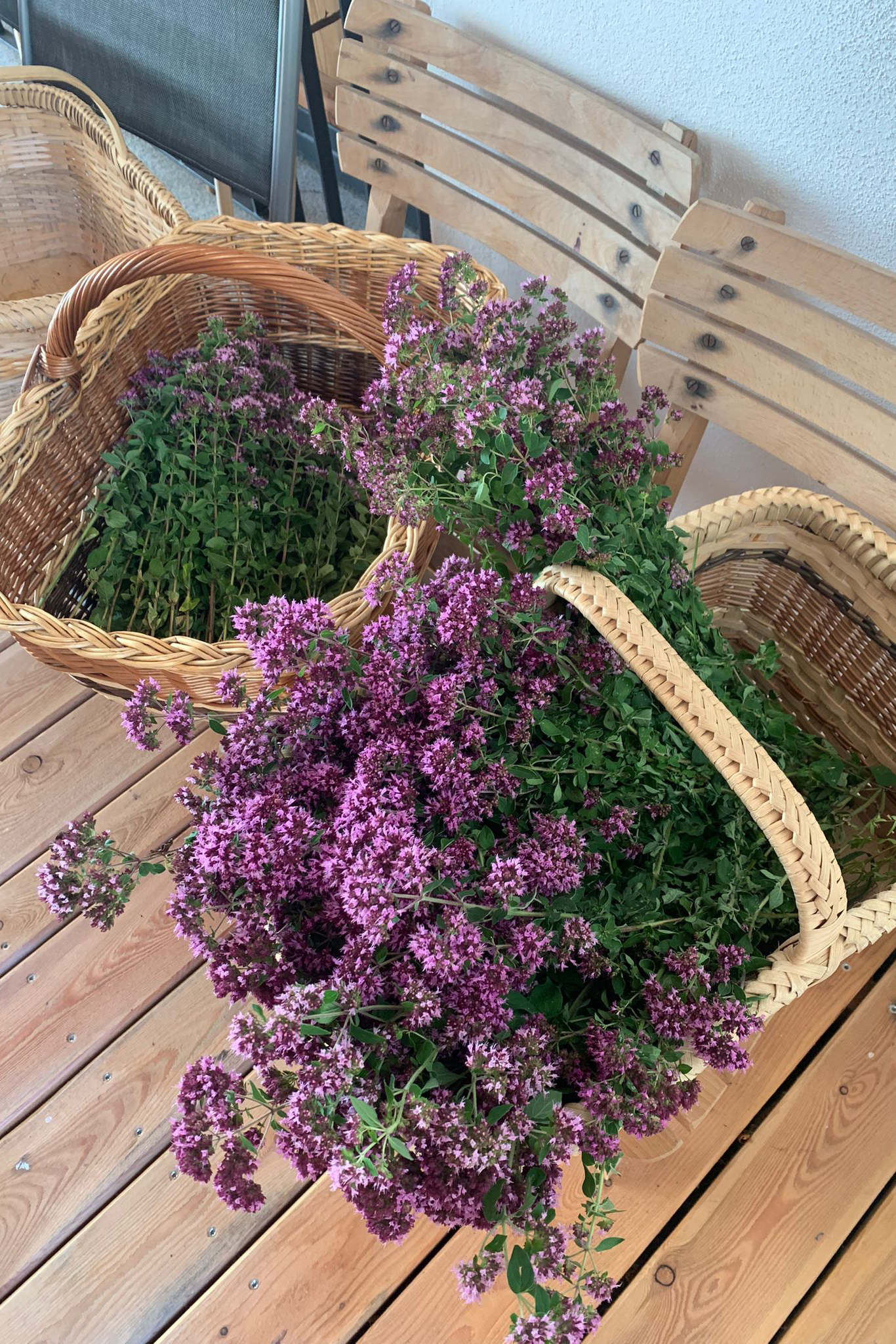 Dostkurs_25_1000px