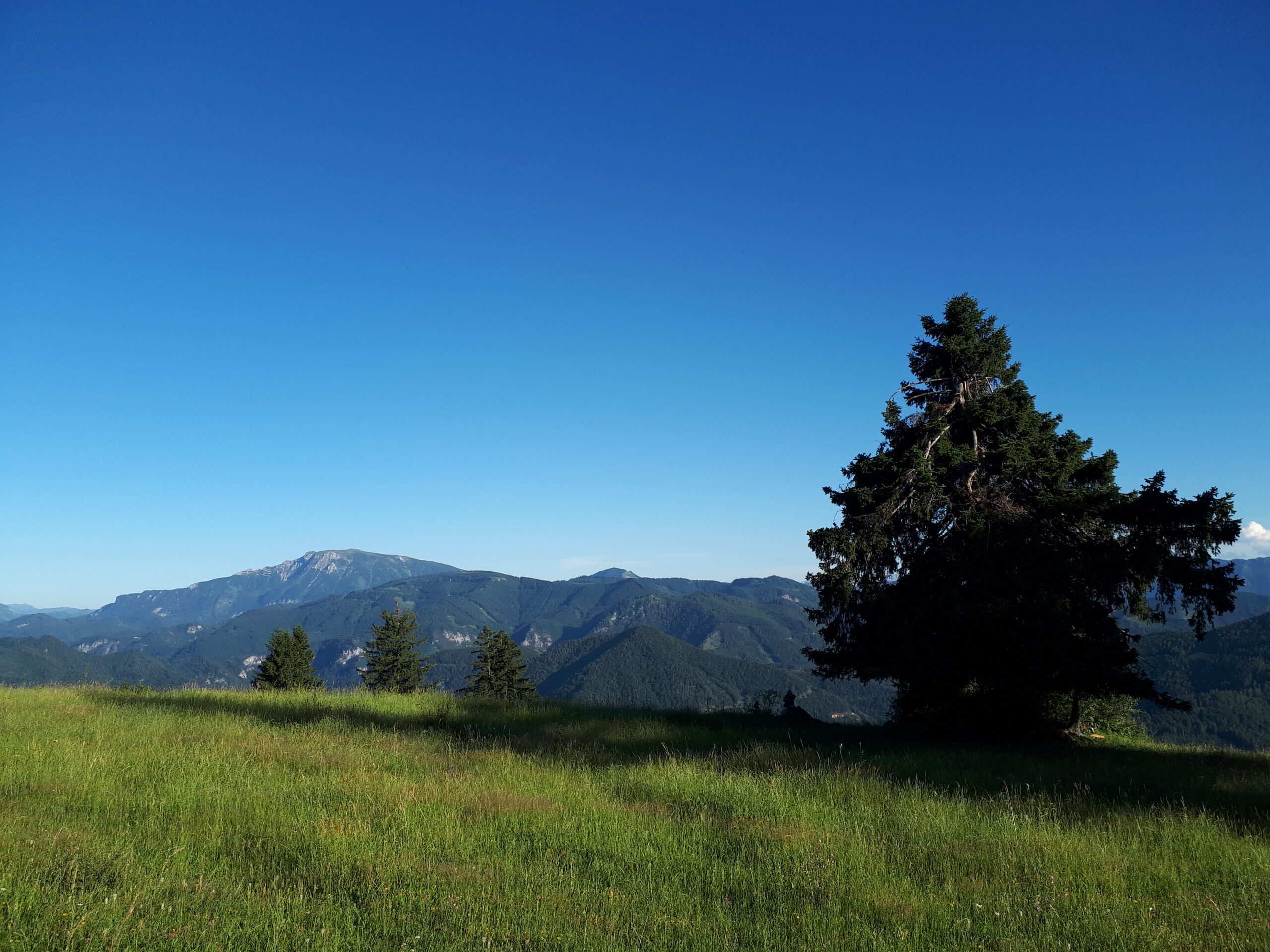 20. Mai 2026 – Natur Begegnung!