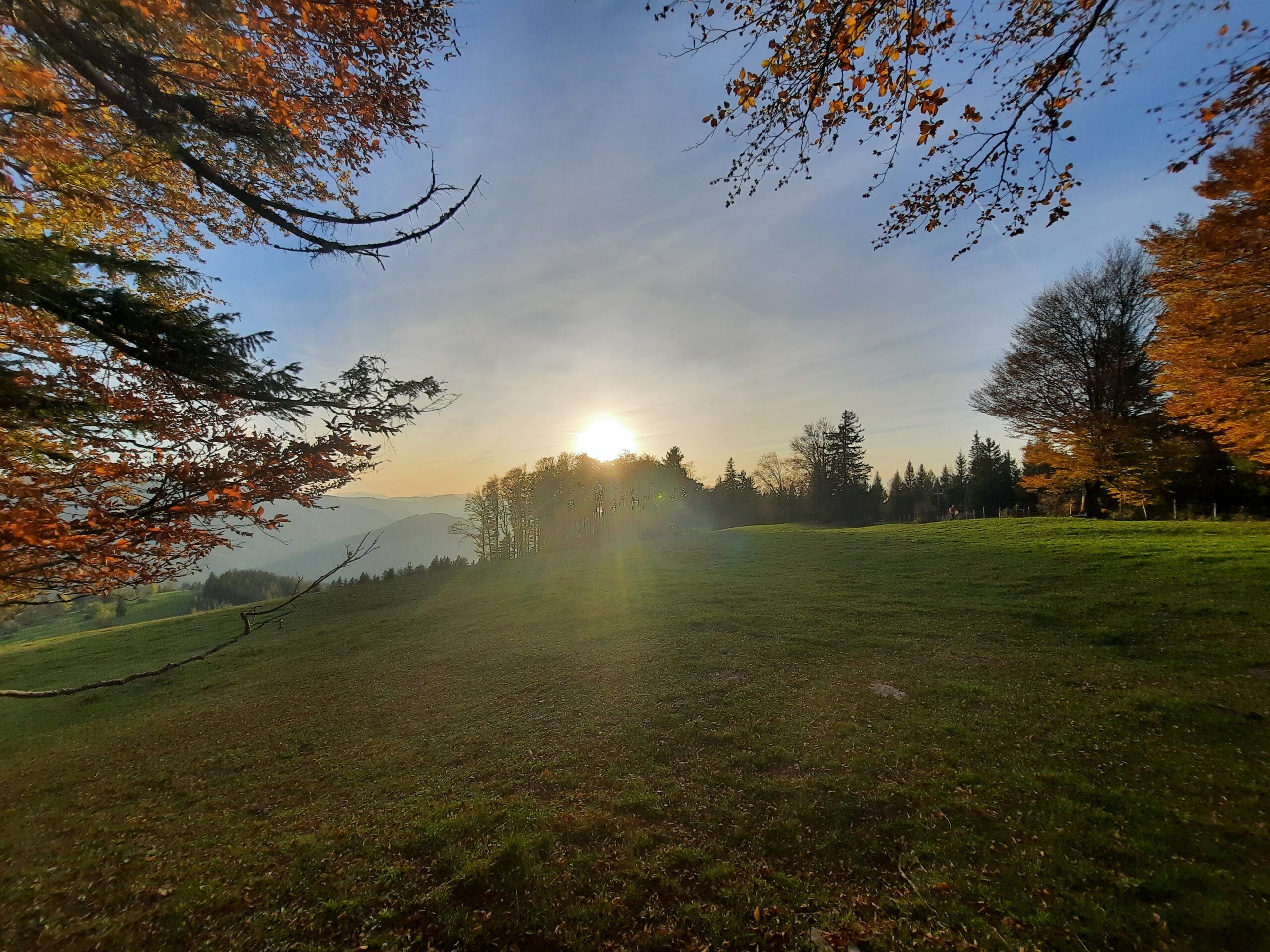 07. Oktober 2026 – Natur Begegnung!