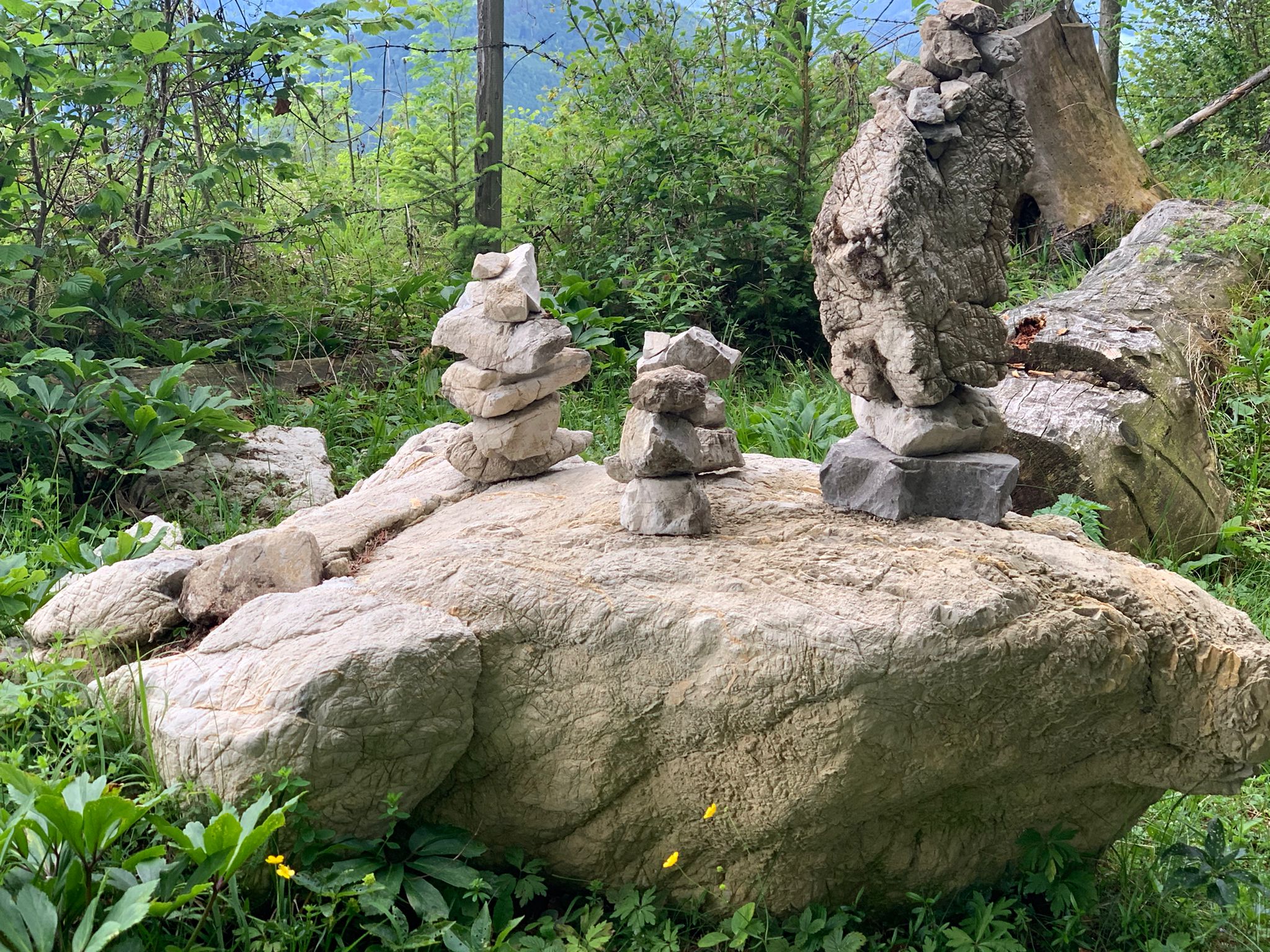 22. Juli 2026 – Natur Begegnung!